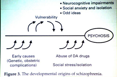 What are the symptoms of schizophrenia?