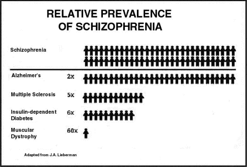 Schizophrenia Sufferer