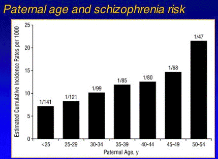 Odds Of Down Syndrome By Age Chart