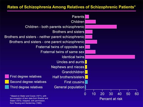 Schizophrenia Ventricles